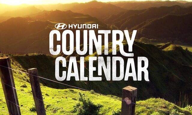 Te Akau Stud | Country Calendar 2013
