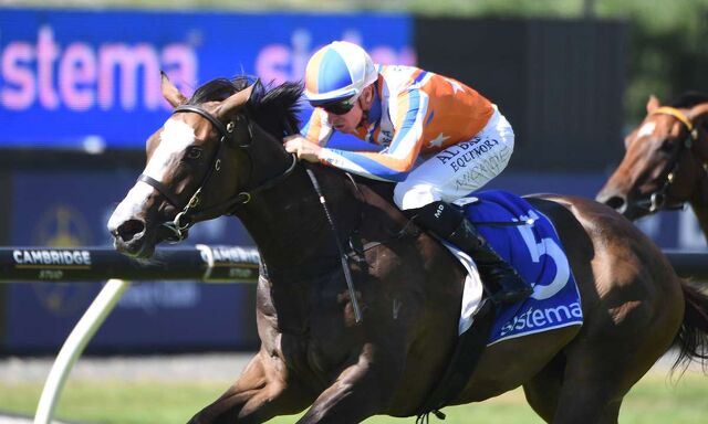 Trackside - Te Akau Australian Spring Runners Update