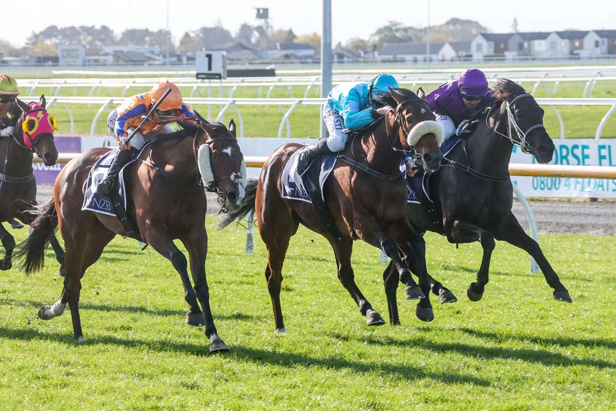 Te Akau Duo Chases Group 3 Honours