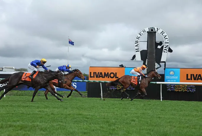 Te Akau Midweek Update