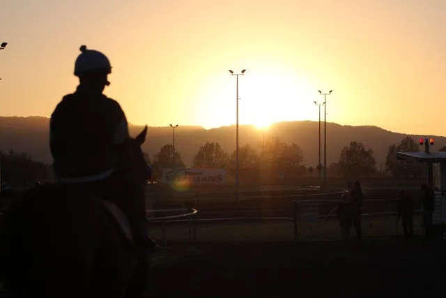 Tba Track Racing Te Akau Thursday Trans Tasman Trackworfk | News - Te Akau Racing