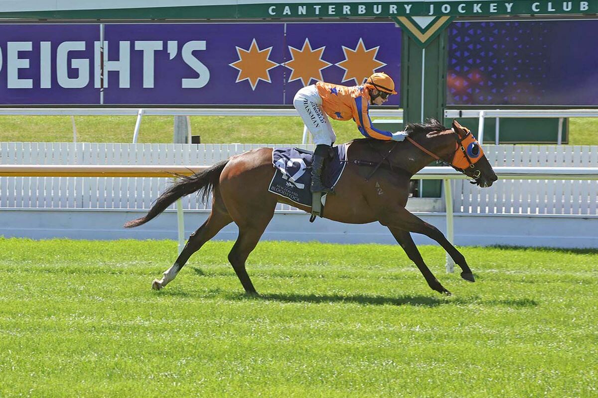 Te Akau Ashburton Sunday Preview