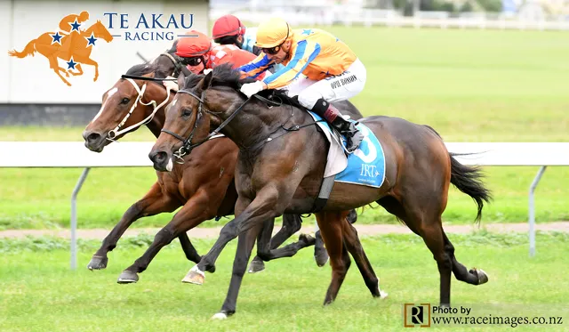 The Express Charges Home | News - Te Akau Racing