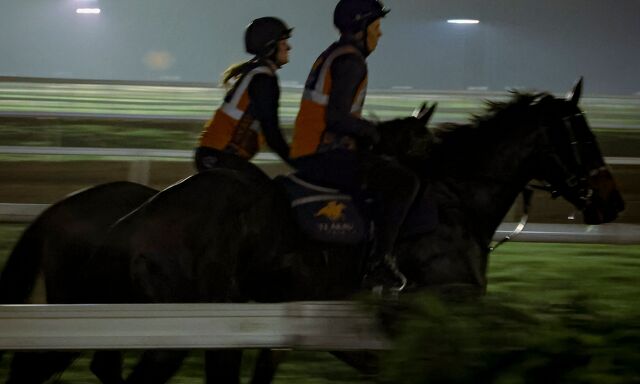 Te Akau North South Thursday Trackwork