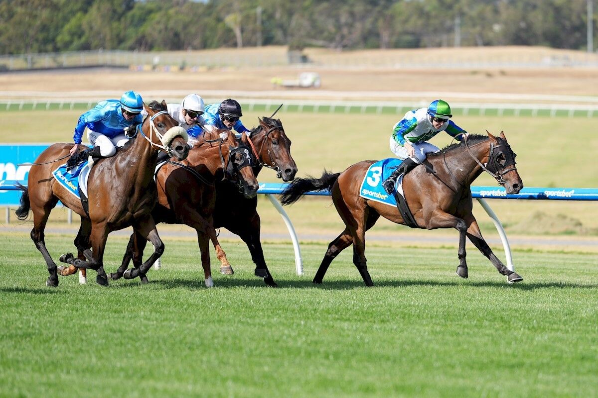 Te Akau Trans Tasman Midweek Preview