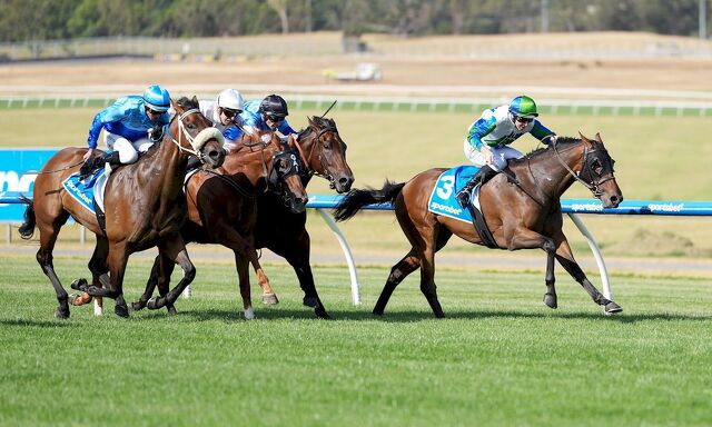 Te Akau Trans Tasman Midweek Preview