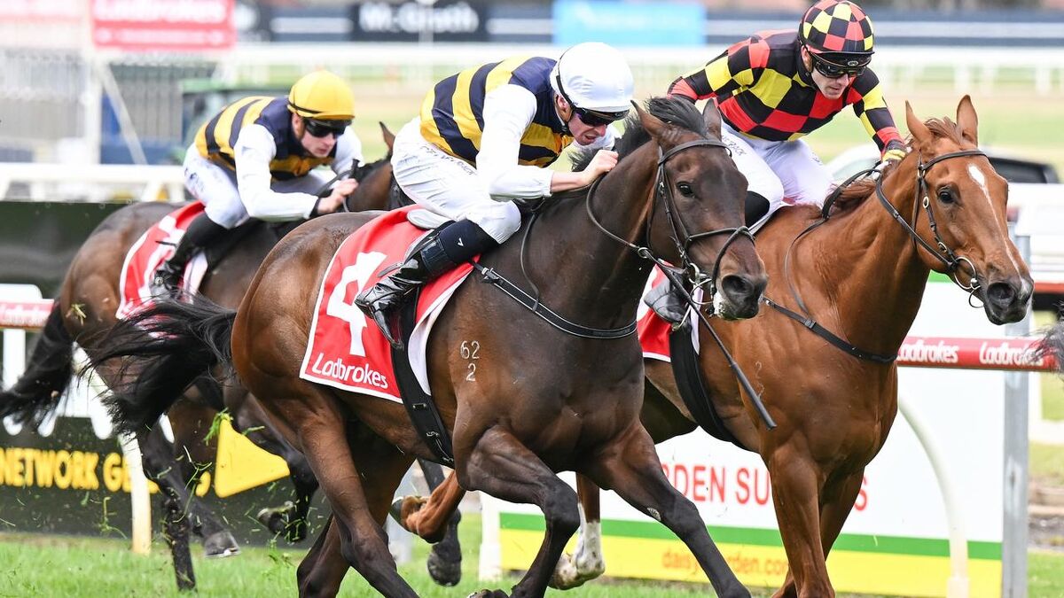 Season of Success: Azazel Awesome in Australia
