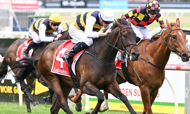 Season of Success: Azazel Awesome in Australia