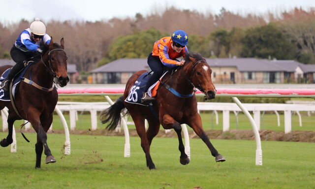 Te Akau Te Rapa Trials' Review