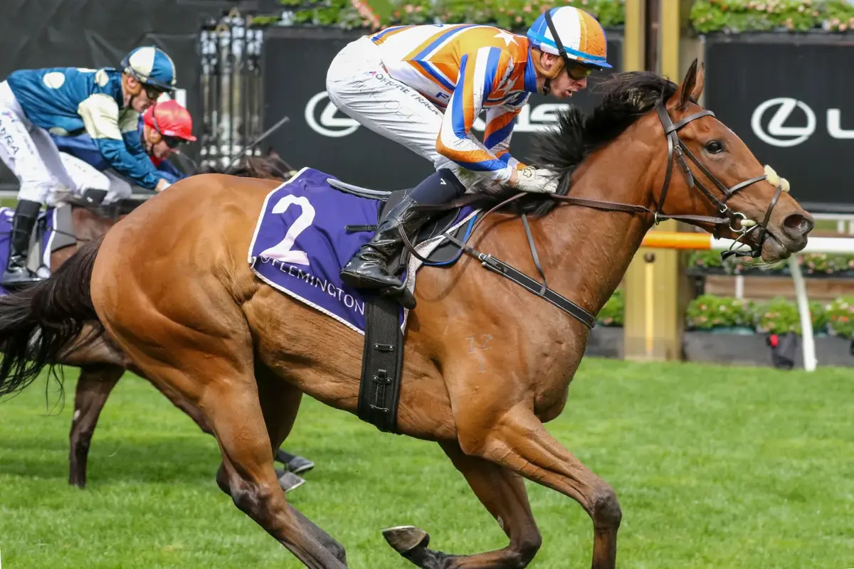 Monash Marks Bellatrix Star's Return
