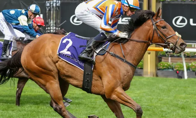 Monash Marks Bellatrix Star's Return