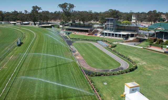 Te Akau Bendigo Sunday Preview