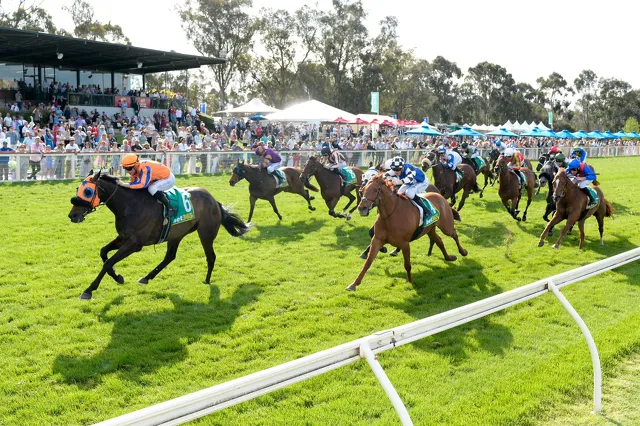MIDNIGHT BLUE | Horse - Te Akau Racing