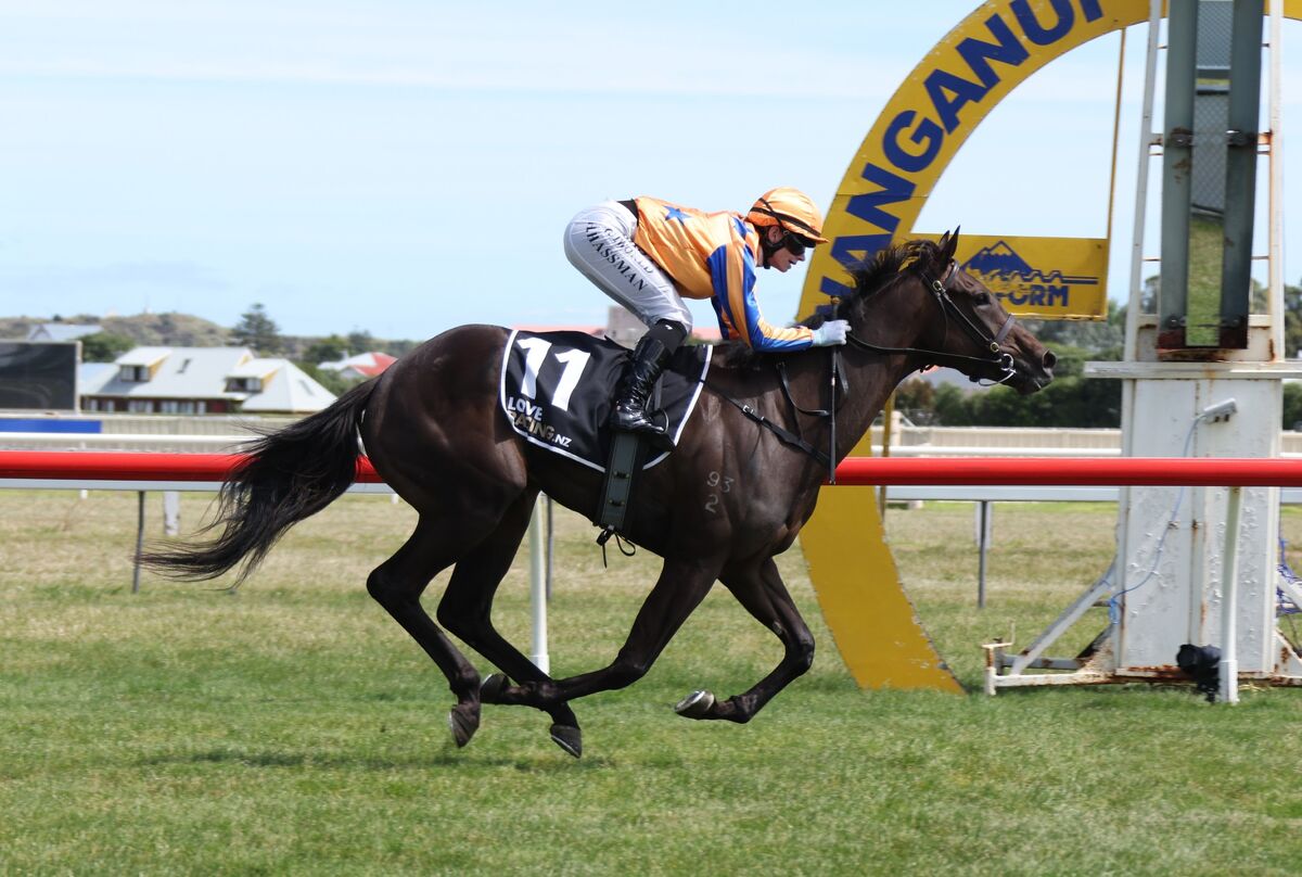 Te Akau Te Aroha Thursday Preview