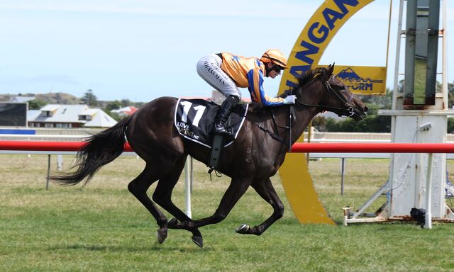 Te Akau Te Aroha Thursday Preview