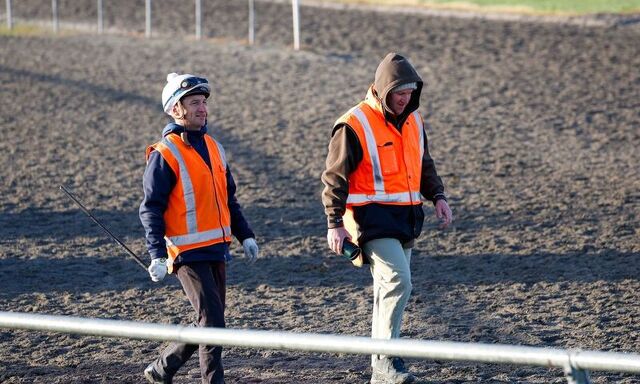 Te Akau Trans Tasman Saturday Trackwork
