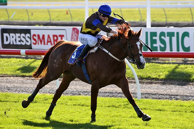 First Starter, First Winner | News - Te Akau Racing