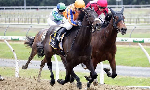 WINNER: Cool, Calm, Collected Centurial