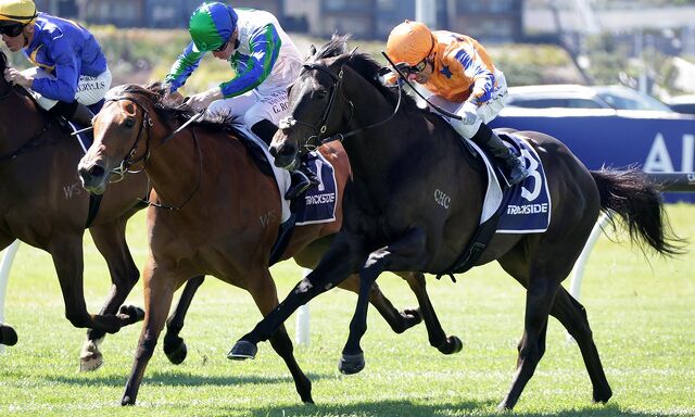 WINNER: Centurial Goes Back to Back