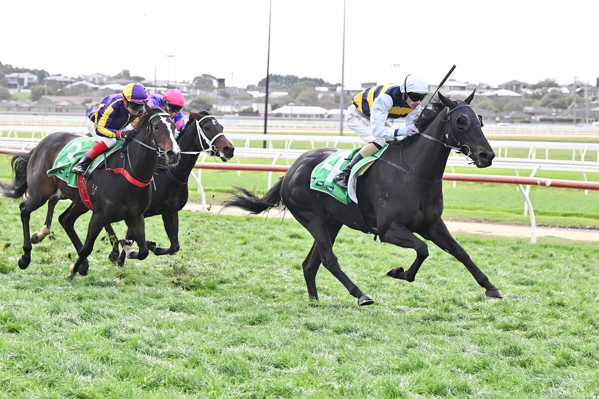 Te Akau Sandown Midweek Preview