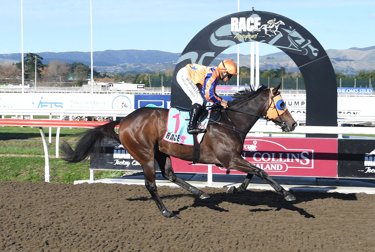Te Akau Cambridge Thursday Preview