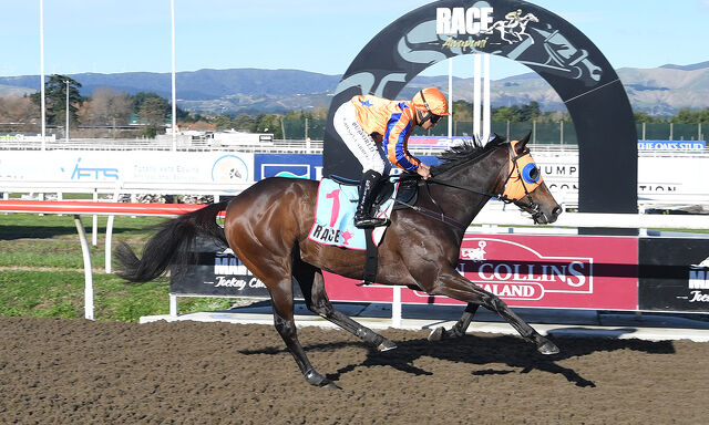 Te Akau Cambridge Thursday Preview