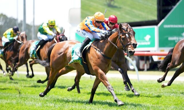 Te Akau Pakenham Monday Preview