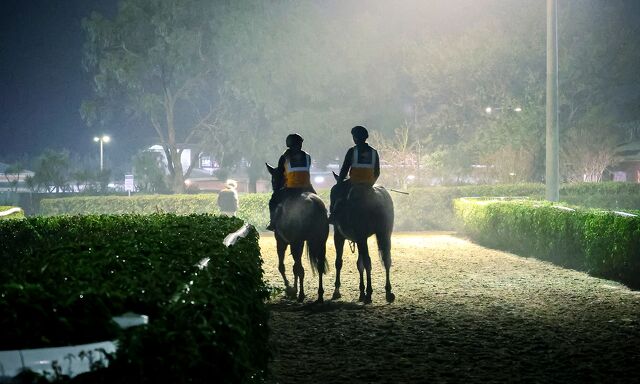 Te Akau Trans Tasman Thursday Trackwork
