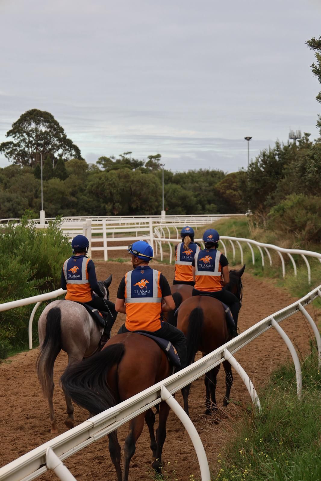 Te Akau Trans Tasman Tuesday Trackwork