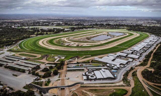 Te Akau Trans Tasman Thursday Trackwork