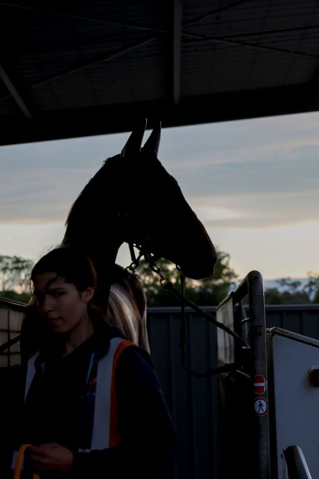 Te Akau Trans Tasman Saturday Trackwork