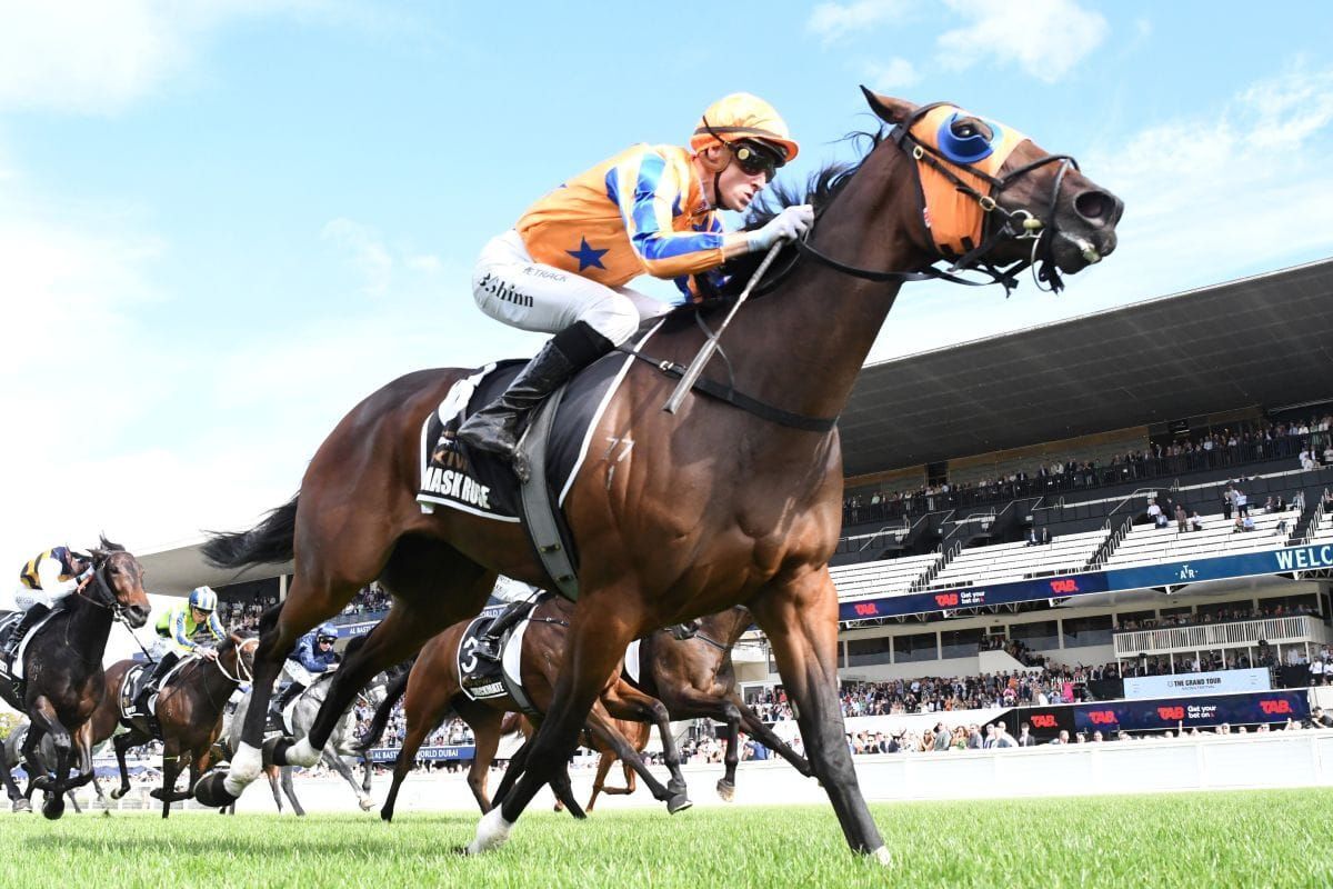 Te Akau Big Guns Starting to Hit the Track