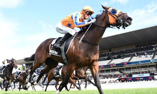 Te Akau Big Guns Starting to Hit the Track