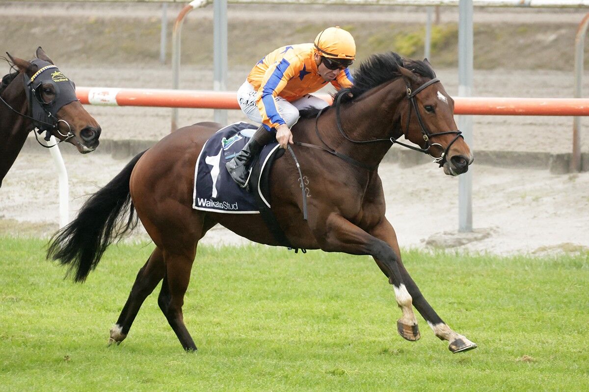 Winner: Dare to Proisir Perfect