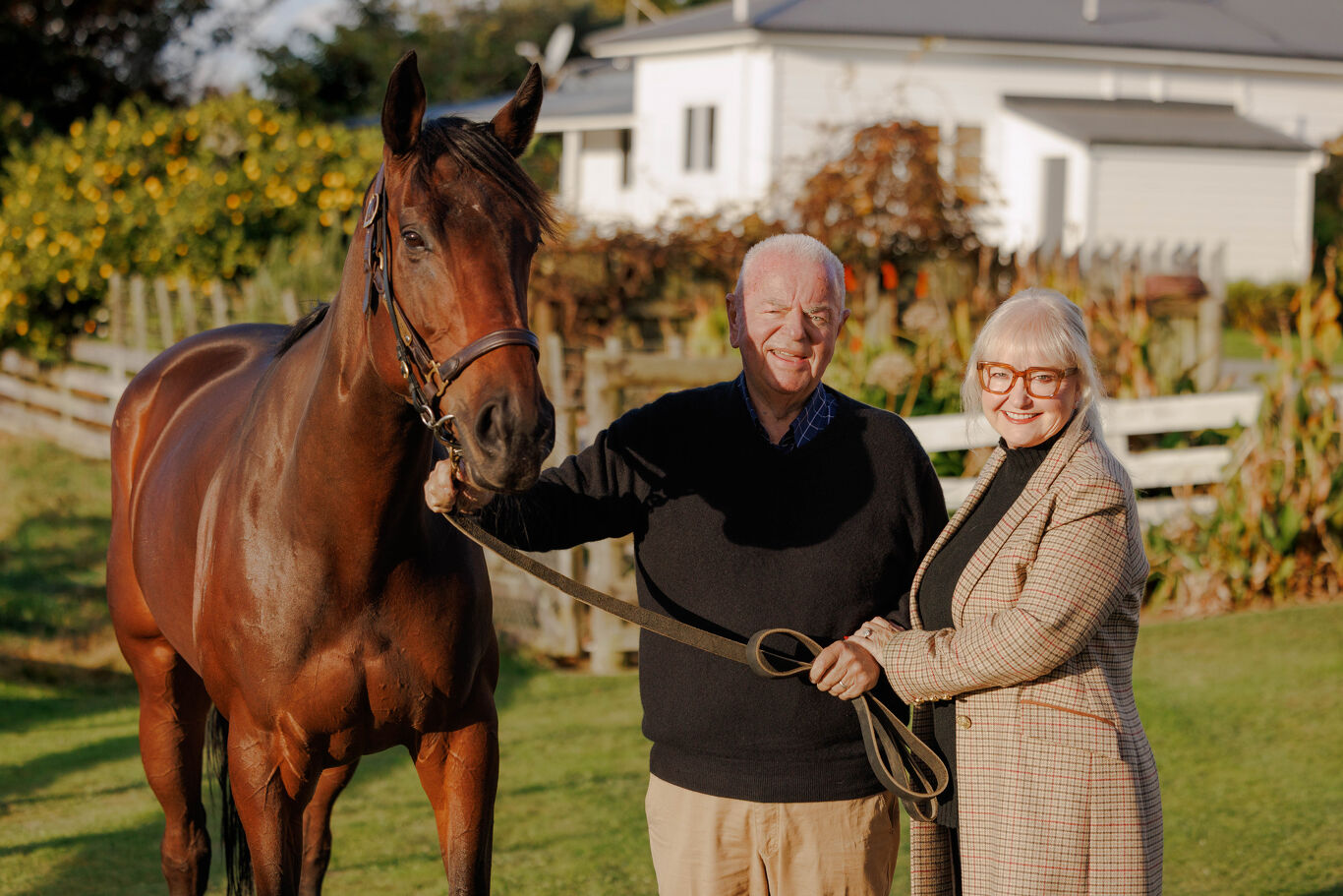 David Ellis CNZM Appointed Knight Companion of the New Zealand Order of Merit