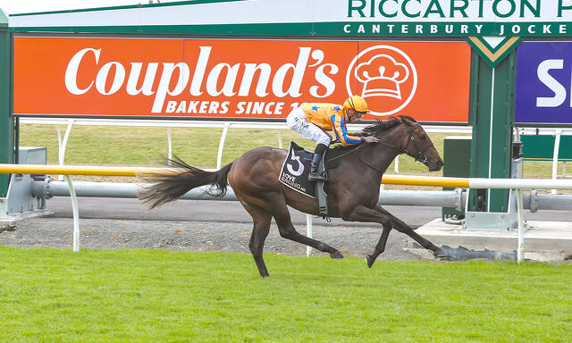 Te Akau Trans Tasman Sunday Preview