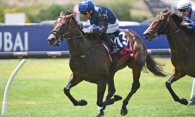 Te Akau Trans Tasman Saturday Preview