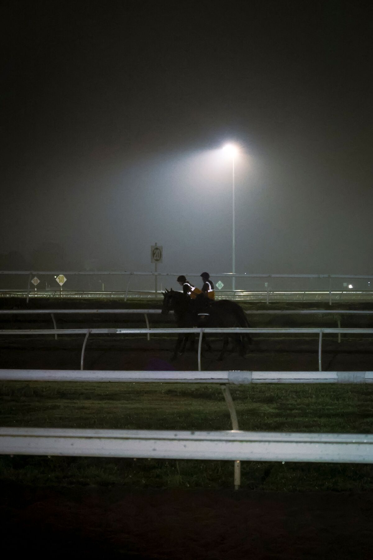 Te Akau North South Thursday Trackwork