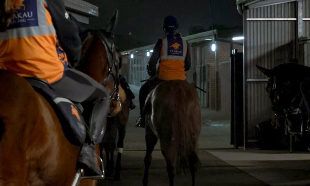 Te Akau North South Tuesday Trackwork