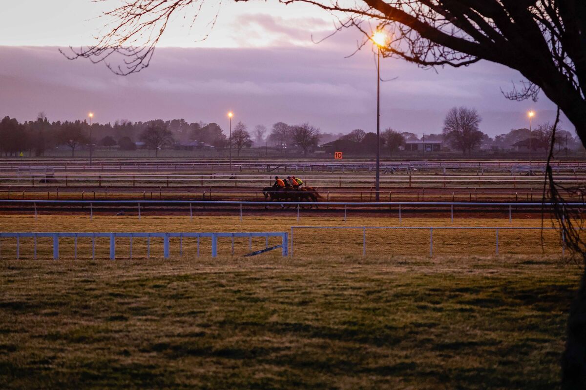 Te Akau Trans Tasman Saturday Trackwork