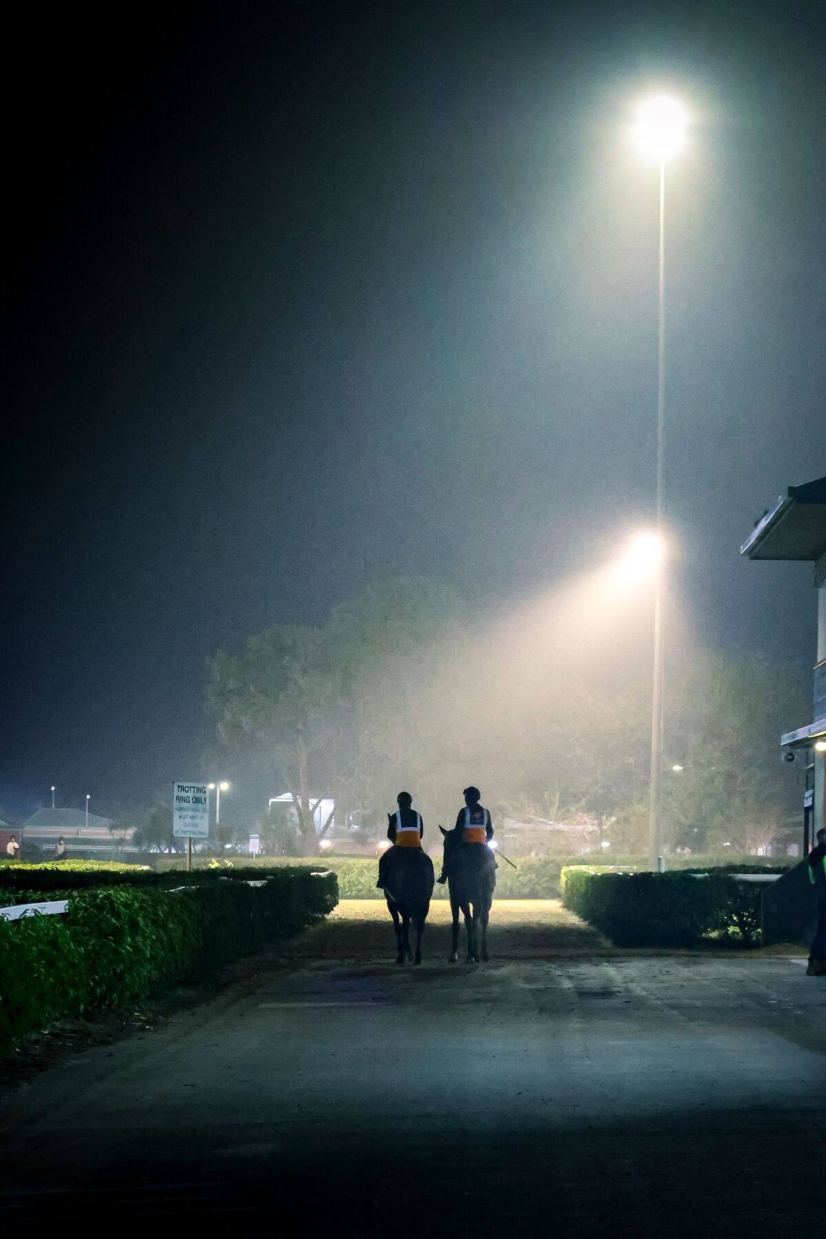 Te Akau Trans Tasman Saturday Trackwork