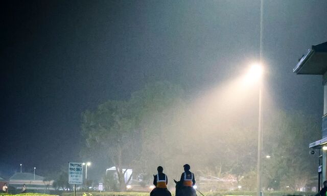 Te Akau Trans Tasman Saturday Trackwork
