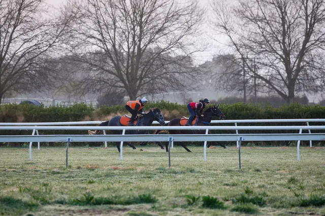 Tba Track Racing Te Akau Trans Tasman Saturday Trackwork | News - Te Akau Racing
