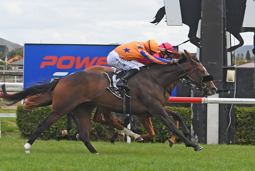 Te Akau Hamilton Sunday Preview