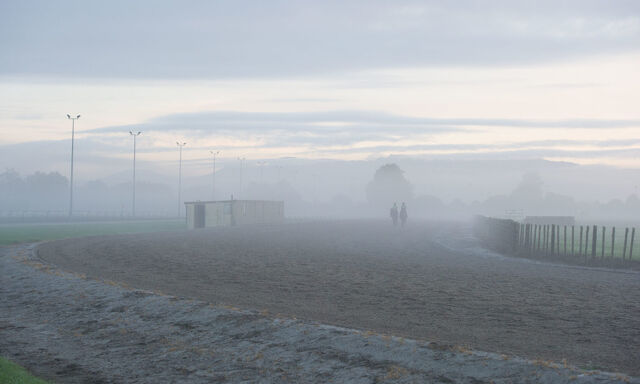 Te Akau Trans Tasman Saturday Trackwork