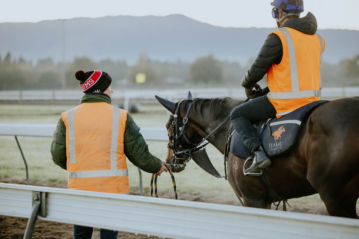 Te Akau North South Thursday Trackwork