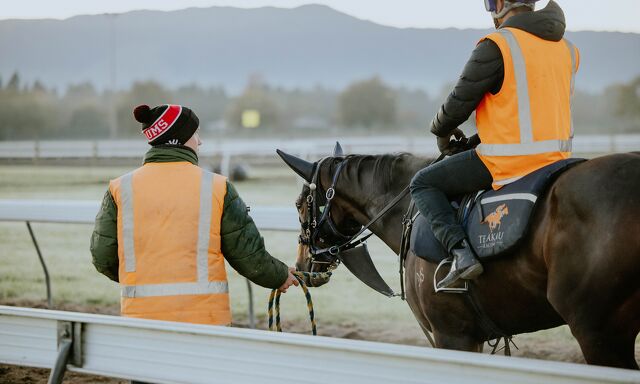 Te Akau North South Thursday Trackwork