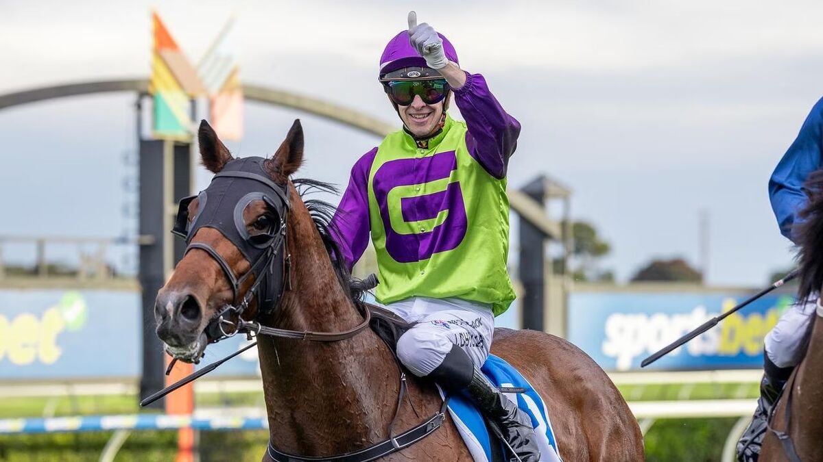 Te Akau Trans Tasman Saturday Preview