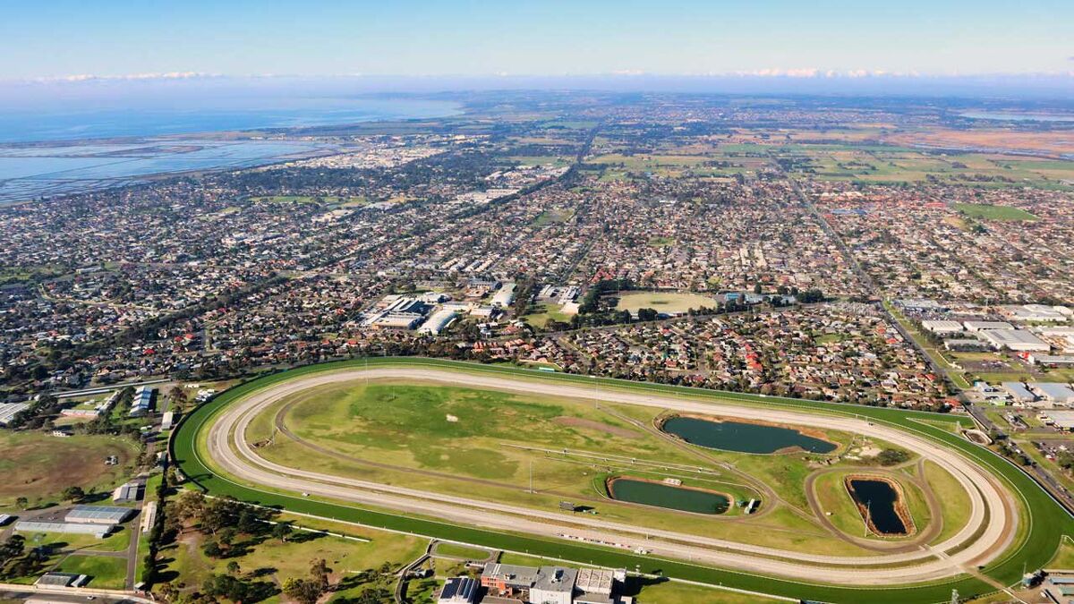 Te Akau Geelong Friday Preview