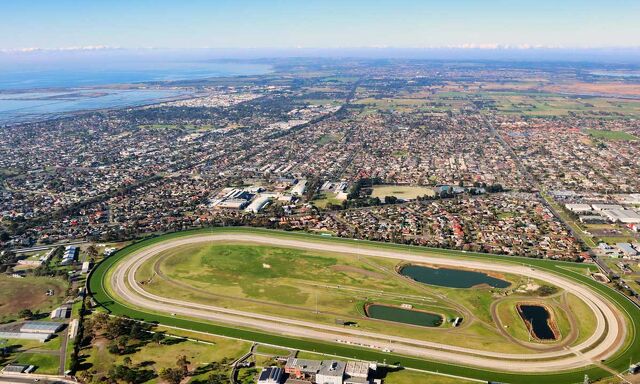 Te Akau Geelong Friday Preview